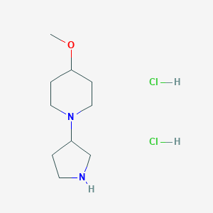molecular formula C10H22Cl2N2O B1489512 4-Methoxy-1-(pyrrolidin-3-yl)piperidine dihydrochloride CAS No. 2098126-40-8