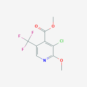 molecular formula C9H7ClF3NO3 B1489584 Methyl 3-chloro-2-methoxy-5-(trifluoromethyl)isonicotinate CAS No. 1147979-36-9