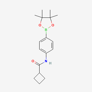 molecular formula C17H24BNO3 B1489596 N-[4-(tetramethyl-1,3,2-dioxaborolan-2-yl)phenyl]cyclobutanecarboxamide CAS No. 2246888-24-2