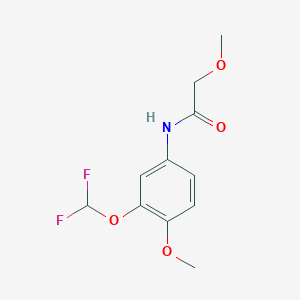 molecular formula C11H13F2NO4 B14896322 n-(3-(Difluoromethoxy)-4-methoxyphenyl)-2-methoxyacetamide 