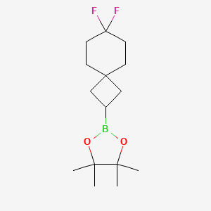 molecular formula C15H25BF2O2 B14898309 2-(7,7-Difluorospiro[3.5]nonan-2-yl)-4,4,5,5-tetramethyl-1,3,2-dioxaborolane 