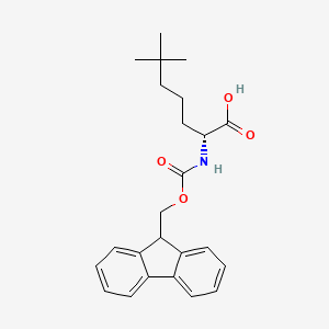 molecular formula C24H29NO4 B14898385 Fmoc-(2R)-2-amino-6,6-dimethylheptanoic acid 