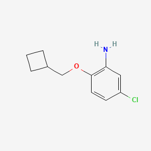 molecular formula C11H14ClNO B1489839 5-Chloro-2-(cyclobutylmethoxy)aniline CAS No. 1494834-49-9
