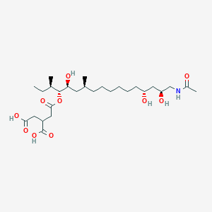 molecular formula C27H49NO10 B14898624 2-[2-[(3R,4R,5S,7S,14R,16S)-17-acetamido-5,14,16-trihydroxy-3,7-dimethylheptadecan-4-yl]oxy-2-oxoethyl]butanedioic acid 