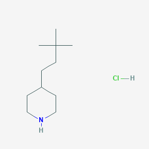 B1489932 4-(3,3-Dimethylbutyl)piperidine hydrochloride CAS No. 1864055-84-4