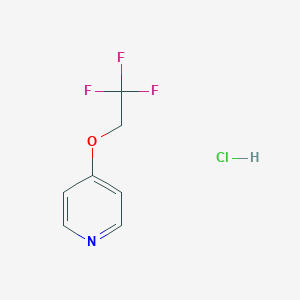 molecular formula C7H7ClF3NO B1489977 4-(2,2,2-Trifluoroethoxy)pyridine hydrochloride CAS No. 2031269-36-8