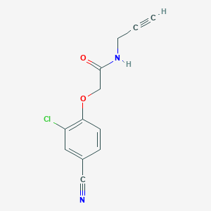 molecular formula C12H9ClN2O2 B14900330 2-(2-chloro-4-cyanophenoxy)-N-(prop-2-yn-1-yl)acetamide 