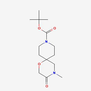 molecular formula C14H24N2O4 B14900573 Tert-butyl 4-methyl-3-oxo-1-oxa-4,9-diazaspiro[5.5]undecane-9-carboxylate 