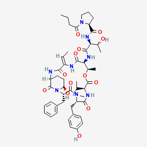 molecular formula C50H68N8O13 B14904022 Rivulariapeptolides 988 