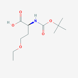 molecular formula C11H21NO5 B14904122 N-Boc-O-ethyl-L-homoserine 