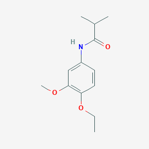 molecular formula C13H19NO3 B14904460 n-(4-Ethoxy-3-methoxyphenyl)isobutyramide 