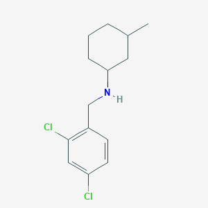 molecular formula C14H19Cl2N B1490509 N-[(2,4-dichlorophenyl)methyl]-3-methylcyclohexan-1-amine CAS No. 1096296-14-8