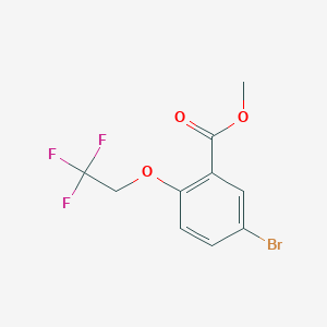 molecular formula C10H8BrF3O3 B1490523 5-Bromo-2-(2,2,2-trifluoroethoxy)-benzoic acid methyl ester CAS No. 2205470-20-6
