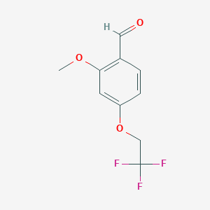 2-Methoxy-4-(2,2,2-trifluoroethoxy)-benzaldehyde