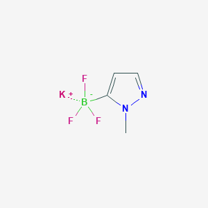 molecular formula C4H5BF3KN2 B1490570 三氟(1-甲基-1H-吡唑-5-基)硼酸钾 CAS No. 1258323-45-3