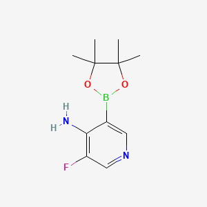 molecular formula C11H16BFN2O2 B14906272 3-Fluoro-5-(4,4,5,5-tetramethyl-1,3,2-dioxaborolan-2-yl)pyridin-4-amine 