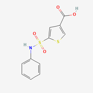 5-(n-Phenylsulfamoyl)thiophene-3-carboxylic acid