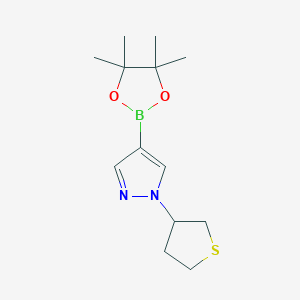 molecular formula C13H21BN2O2S B14907766 4-(Tetramethyl-1,3,2-dioxaborolan-2-yl)-1-(thiolan-3-yl)-1H-pyrazole 