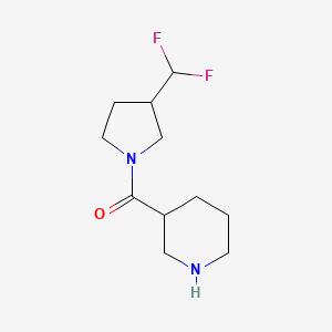 molecular formula C11H18F2N2O B1490919 (3-(二氟甲基)吡咯烷-1-基)(哌啶-3-基)甲酮 CAS No. 2098116-95-9
