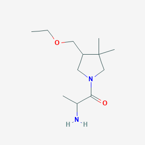 molecular formula C12H24N2O2 B1491077 2-Amino-1-(4-(ethoxymethyl)-3,3-dimethylpyrrolidin-1-yl)propan-1-one CAS No. 2097955-48-9