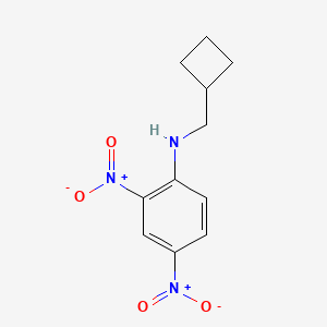 molecular formula C11H13N3O4 B14911898 N-(cyclobutylmethyl)-2,4-dinitroaniline 