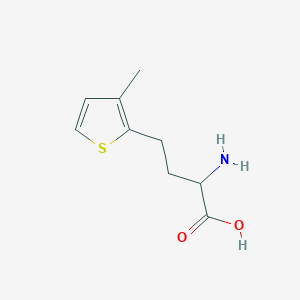 molecular formula C9H13NO2S B1491329 2-Amino-4-(3-methylthiophen-2-yl)butanoic acid CAS No. 1888613-08-8