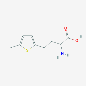 molecular formula C9H13NO2S B1491355 2-Amino-4-(5-methylthiophen-2-yl)butanoic acid CAS No. 2097950-75-7