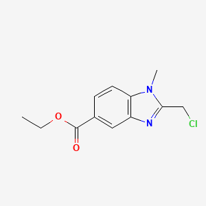 molecular formula C12H13ClN2O2 B14913668 Ethyl 2-(chloromethyl)-1-methyl-1H-benzo[d]imidazole-5-carboxylate 