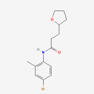 molecular formula C14H18BrNO2 B14913775 n-(4-Bromo-2-methylphenyl)-3-(tetrahydrofuran-2-yl)propanamide 