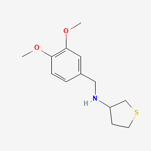 n-(3,4-Dimethoxybenzyl)tetrahydrothiophen-3-amine