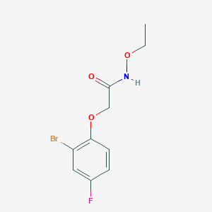 molecular formula C10H11BrFNO3 B14916397 2-(2-bromo-4-fluorophenoxy)-N-ethoxyacetamide 