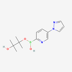 3-Hydroxy-2,3-dimethylbutan-2-yl hydrogen (5-(1h-pyrazol-1-yl)pyridin-2-yl)boronate