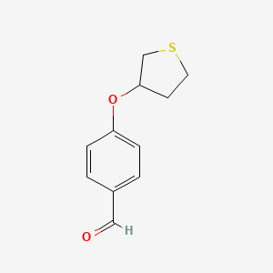 molecular formula C11H12O2S B1491830 4-((Tetrahydrothiophen-3-yl)oxy)benzaldehyde CAS No. 1935477-78-3