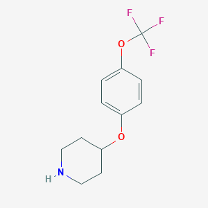 B149191 4-[4-(Trifluoromethoxy)phenoxy]piperidine CAS No. 287952-67-4