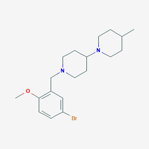 molecular formula C19H29BrN2O B14920085 1'-(5-Bromo-2-methoxybenzyl)-4-methyl-1,4'-bipiperidine 