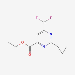 molecular formula C11H12F2N2O2 B1492220 2-环丙基-6-(二氟甲基)嘧啶-4-甲酸乙酯 CAS No. 2098079-64-0