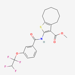 molecular formula C21H21F4NO4S B14923135 Methyl 2-({[3-(1,1,2,2-tetrafluoroethoxy)phenyl]carbonyl}amino)-4,5,6,7,8,9-hexahydrocycloocta[b]thiophene-3-carboxylate 