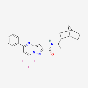 molecular formula C23H23F3N4O B14923651 N-[1-(bicyclo[2.2.1]hept-2-yl)ethyl]-5-phenyl-7-(trifluoromethyl)pyrazolo[1,5-a]pyrimidine-2-carboxamide 