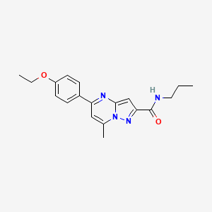 5-(4-ethoxyphenyl)-7-methyl-N-propylpyrazolo[1,5-a]pyrimidine-2-carboxamide