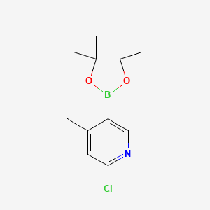 2-Chloro-4-methyl-5-(4,4,5,5-tetramethyl-1,3,2-dioxaborolan-2-YL)pyridine