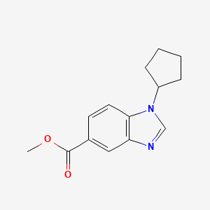 molecular formula C14H16N2O2 B1492519 Methyl 1-cyclopentylbenzimidazole-5-carboxylate CAS No. 1355246-90-0