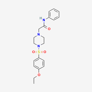 2-{4-[(4-ethoxyphenyl)sulfonyl]piperazin-1-yl}-N-phenylacetamide