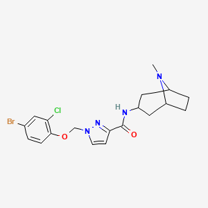 1-[(4-bromo-2-chlorophenoxy)methyl]-N-(8-methyl-8-azabicyclo[3.2.1]oct-3-yl)-1H-pyrazole-3-carboxamide