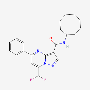 molecular formula C22H24F2N4O B14929364 N-cyclooctyl-7-(difluoromethyl)-5-phenylpyrazolo[1,5-a]pyrimidine-3-carboxamide 