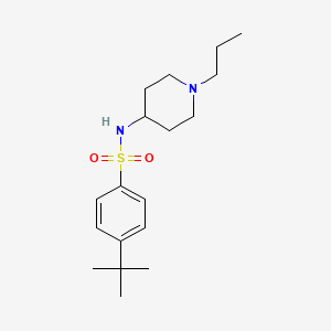 4-tert-butyl-N-(1-propylpiperidin-4-yl)benzenesulfonamide