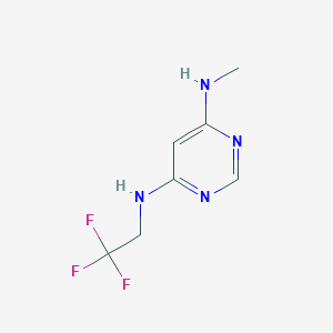 molecular formula C7H9F3N4 B1493107 N4-methyl-N6-(2,2,2-trifluoroethyl)pyrimidine-4,6-diamine CAS No. 1508676-03-6