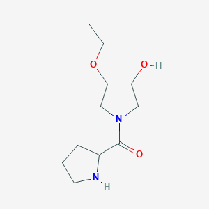 molecular formula C11H20N2O3 B1493123 3-乙氧基-4-羟基-1-脯氨基吡咯烷 CAS No. 2097946-99-9