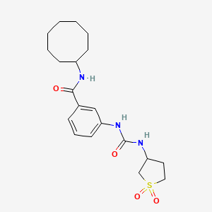 N-cyclooctyl-3-{[(1,1-dioxidotetrahydrothiophen-3-yl)carbamoyl]amino}benzamide