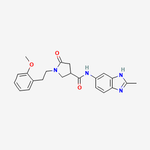 molecular formula C22H24N4O3 B14936519 1-[2-(2-methoxyphenyl)ethyl]-N-(2-methyl-1H-benzimidazol-6-yl)-5-oxopyrrolidine-3-carboxamide 