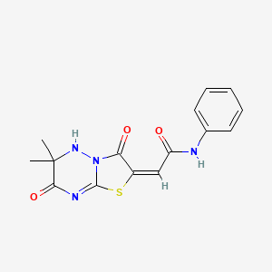 2-[6,6-Dimethyl-3,7-dioxo-6,7-dihydro-5H-[1,3]thiazolo[3,2-B][1,2,4]triazin-2(3H)-yliden]-N-phenylacetamide